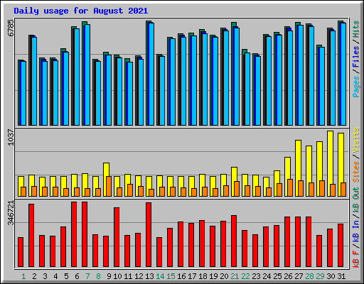 Daily usage for August 2021