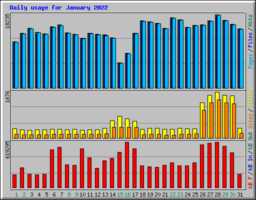 Daily usage for January 2022