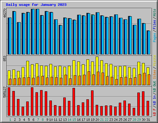 Daily usage for January 2023