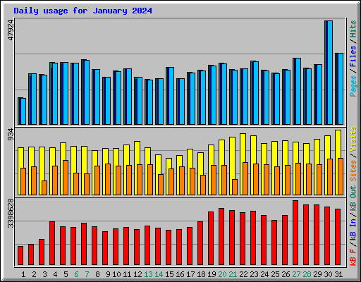 Daily usage for January 2024