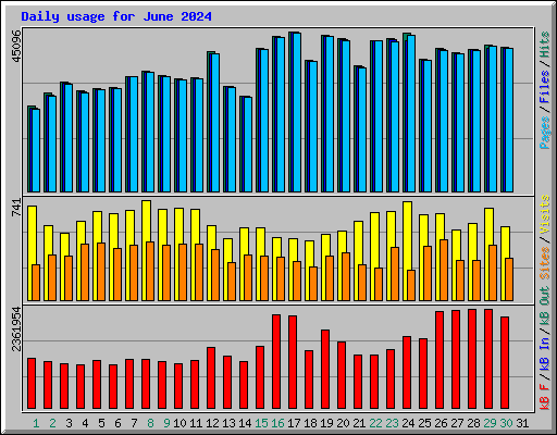 Daily usage for June 2024
