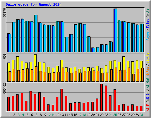 Daily usage for August 2024
