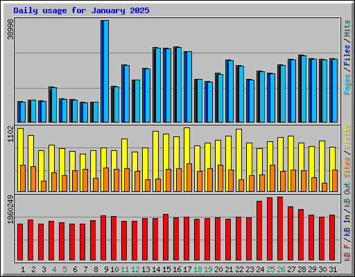Daily usage for January 2025