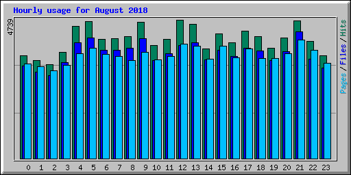 Hourly usage for August 2018