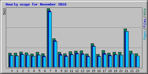 Hourly usage for November 2018