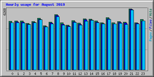Hourly usage for August 2019