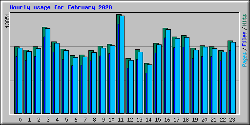 Hourly usage for February 2020