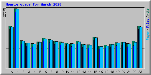 Hourly usage for March 2020