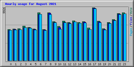 Hourly usage for August 2021