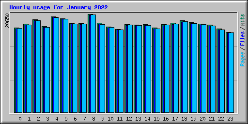 Hourly usage for January 2022