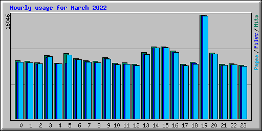 Hourly usage for March 2022