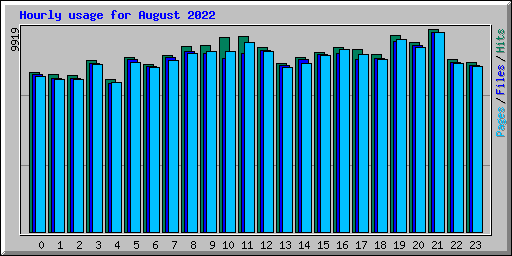 Hourly usage for August 2022