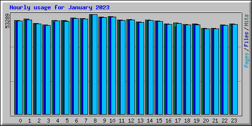 Hourly usage for January 2023