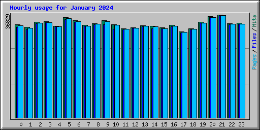 Hourly usage for January 2024