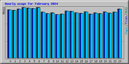 Hourly usage for February 2024