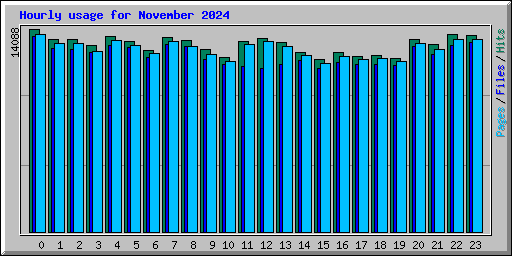 Hourly usage for November 2024