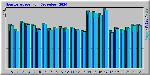 Hourly usage for December 2024