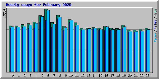 Hourly usage for February 2025