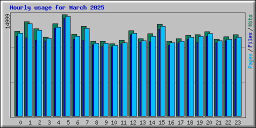 Hourly usage for March 2025