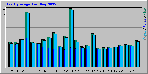 Hourly usage for May 2025