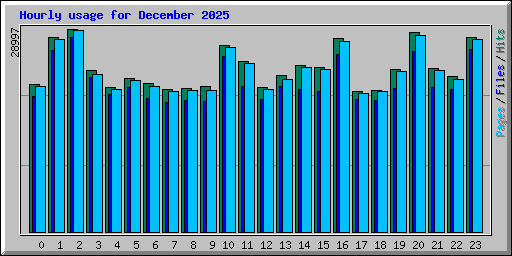 Hourly usage for December 2025