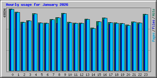 Hourly usage for January 2026