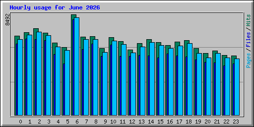 Hourly usage for June 2026